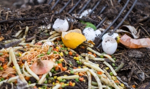 Food waste has become a national concern.